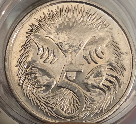 2019-Australian-5-Cent-Hairy-Die-Chip/-Cud