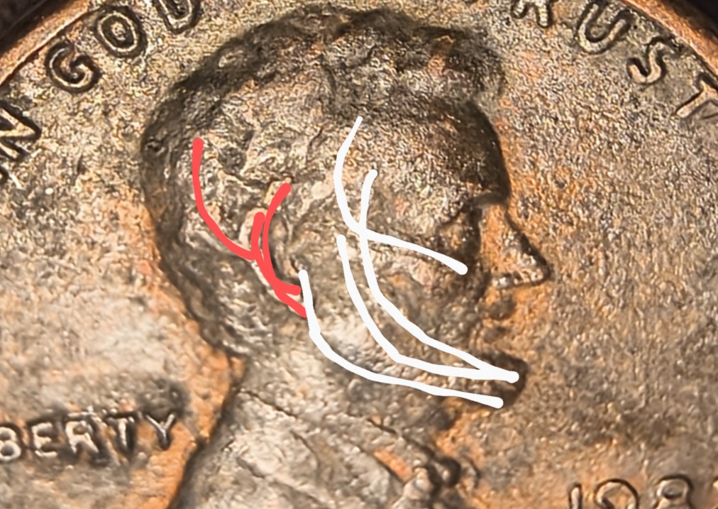 Please-Help,-Is-This-A-1982-P-Large-Date-Copper-Lincoln-Penny-With-A-Doubled-Ear-Variety?