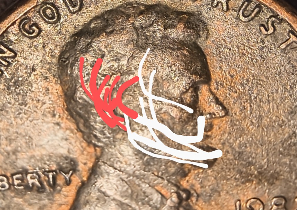 Please-Help,-Is-This-A-1982-P-Large-Date-Copper-Lincoln-Penny-With-A-Doubled-Ear-Variety?