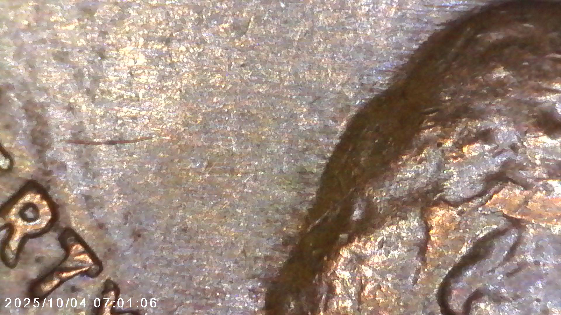 Is-This-1968-D-Penny-What-You-Call-A-Double-Strike-Or-Ghosting-Error
