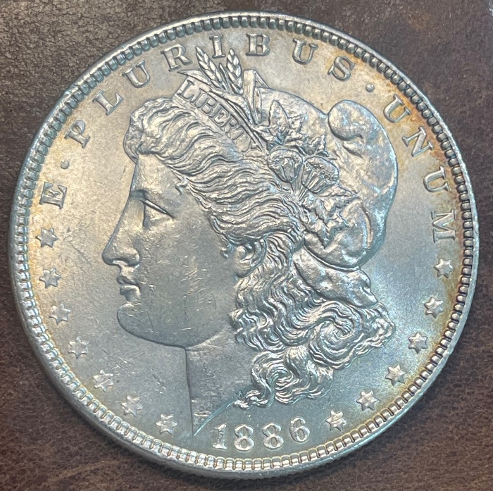 1886-P-Morgan---Grade-It!