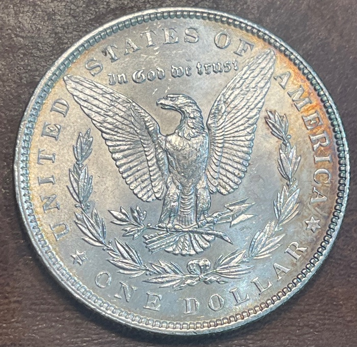 1886-P-Morgan---Grade-It!
