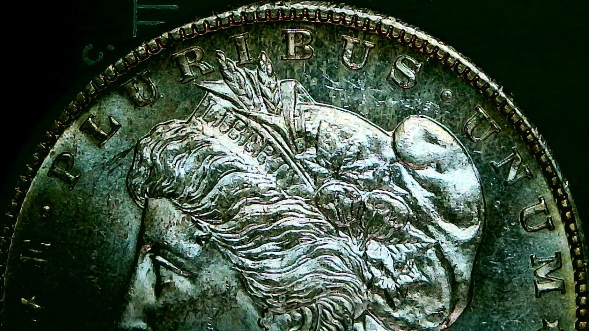 1878-S-Morgan-Dollar-Poll