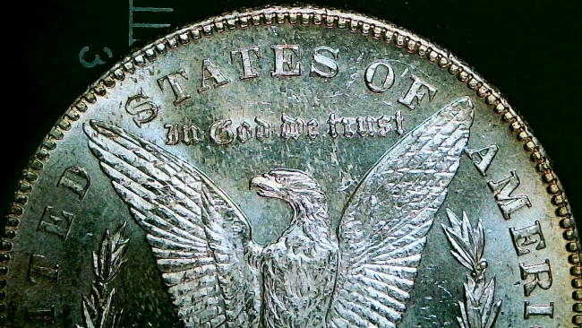 1878-S-Morgan-Dollar-Poll