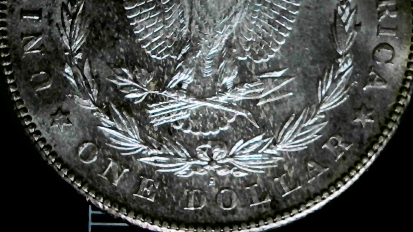 1878-S-Morgan-Dollar-Poll