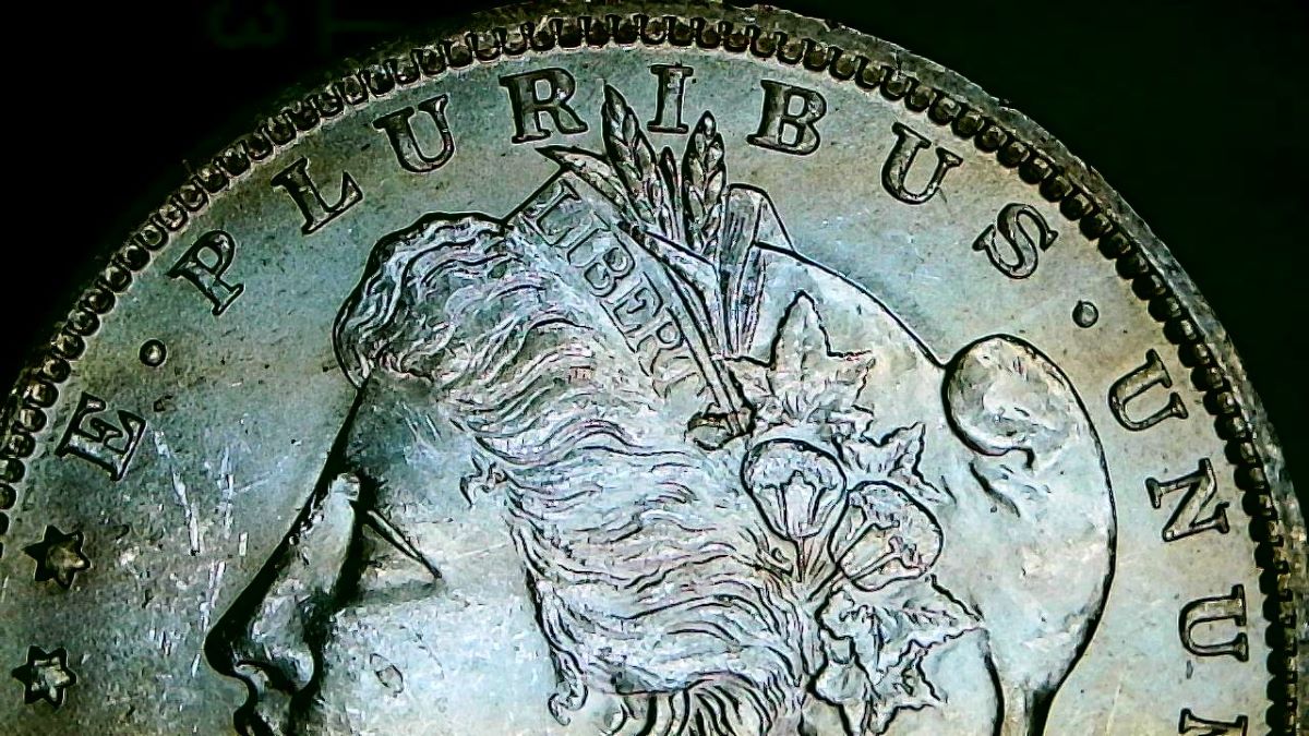 1887-O-Morgan-Dollar-Grade-Poll