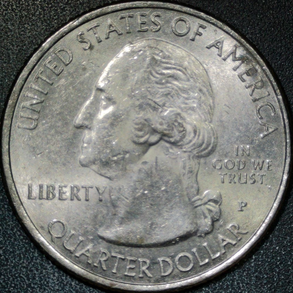 2015-P-Homestead-Quarter:-WDDR-002