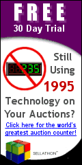 Sellathon auction counters. The next generaton for eBay visitor analysis.