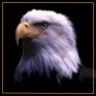 adco1149's Avatar