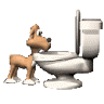 casey jones's Avatar