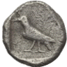 Crow's Avatar