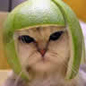 devilwoman's Avatar