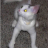 founditinmypocket's Avatar