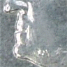 roy hall's Avatar