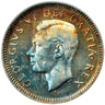 thedollarman's Avatar