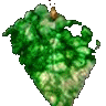 ZorbaGreek's Avatar
