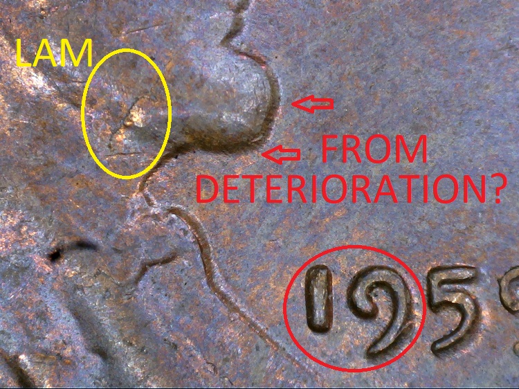 1956-D-Wheat-Maybe-DDO?