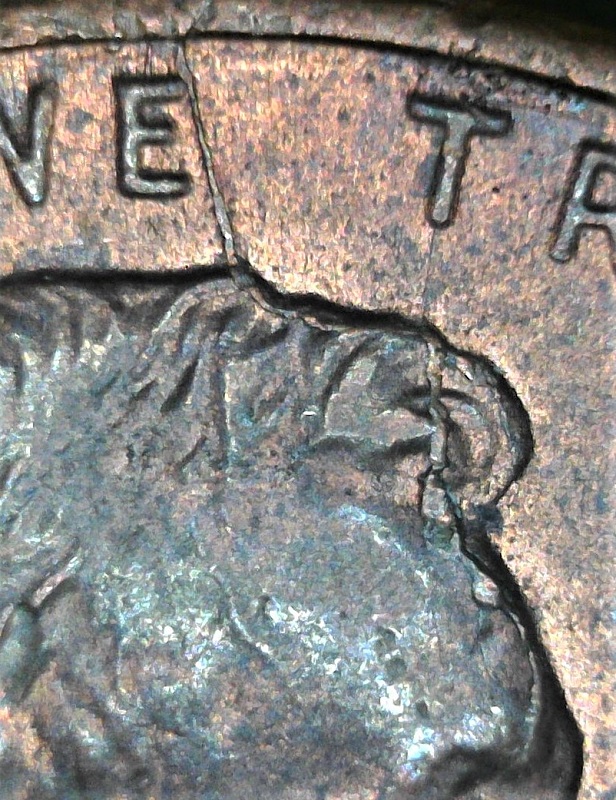 Some-Bank-Roll-Finds.