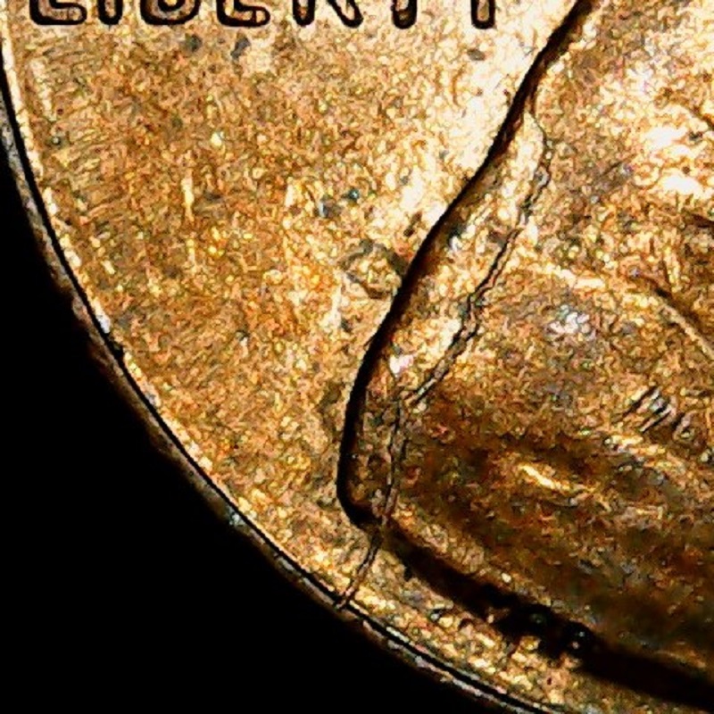 Some-Bank-Roll-Finds.