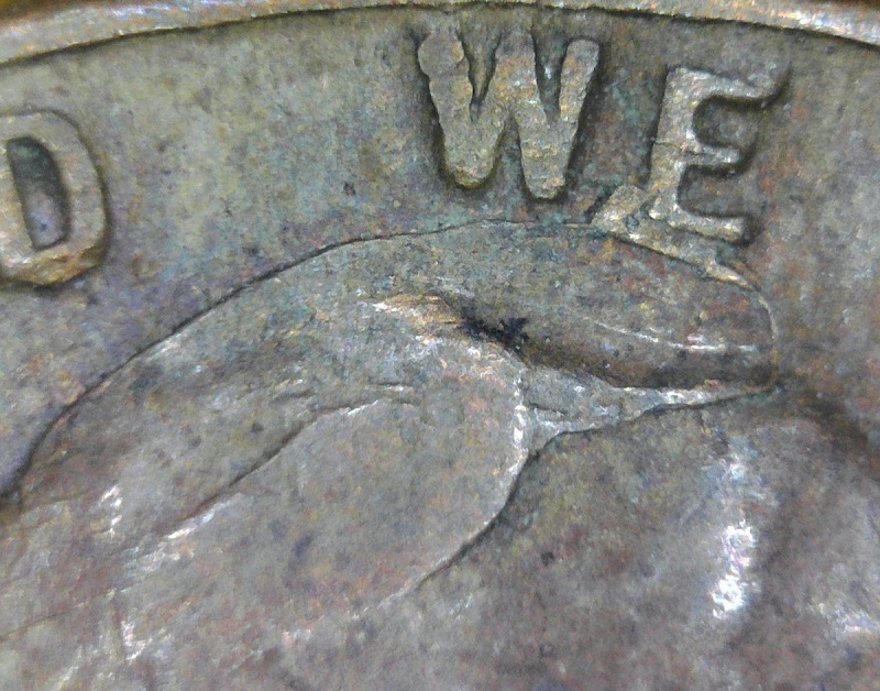 Some-Bank-Roll-Finds.
