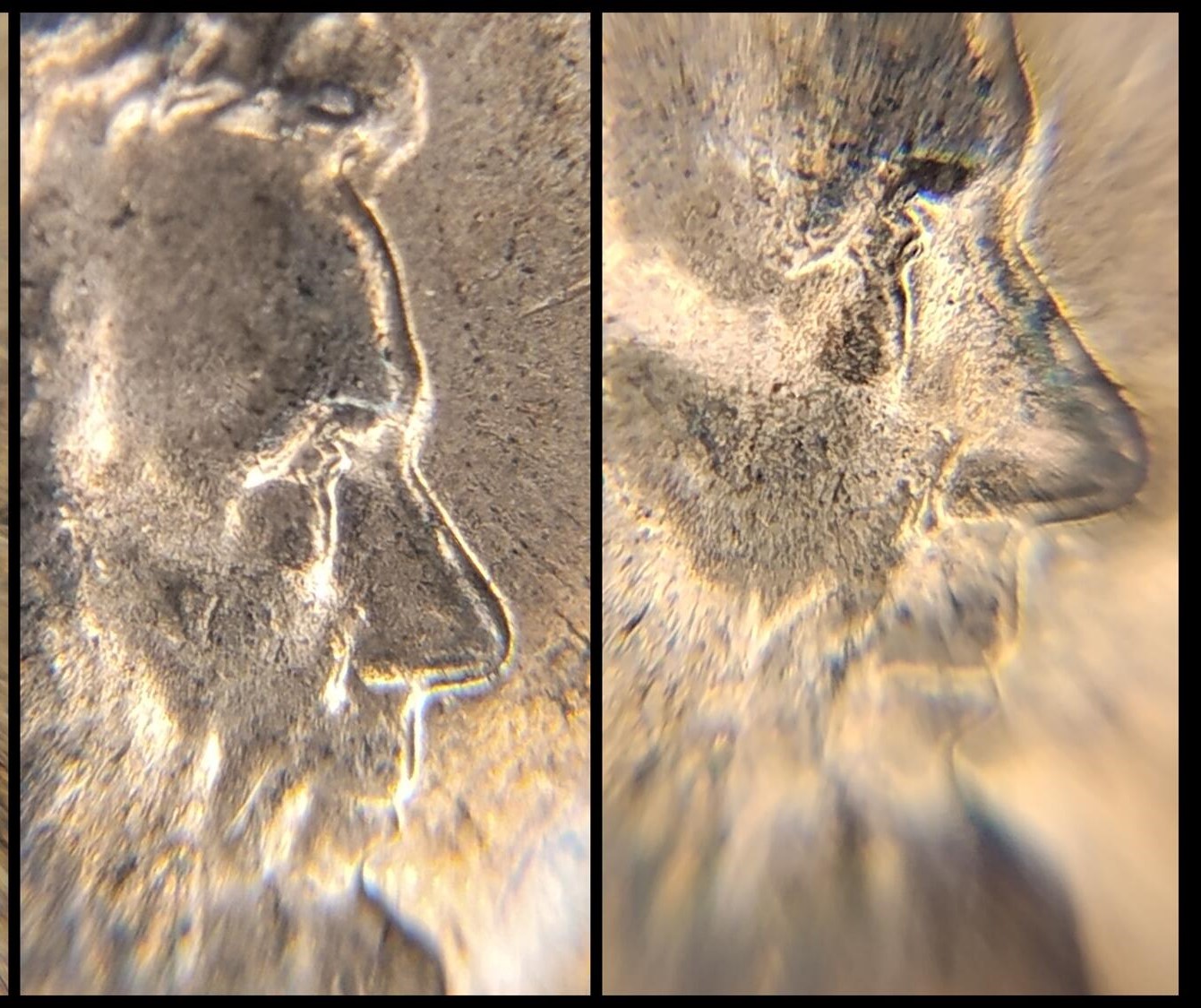 2023-D-Lincoln-Cent-Eye-Question.