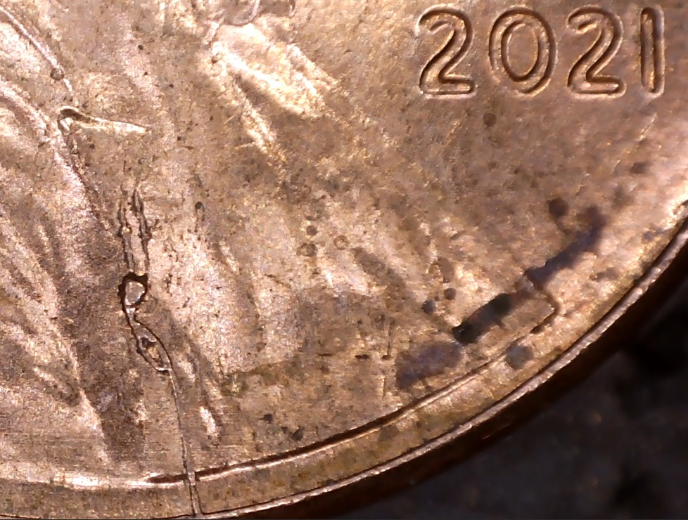 Some-Bank-Roll-Finds.