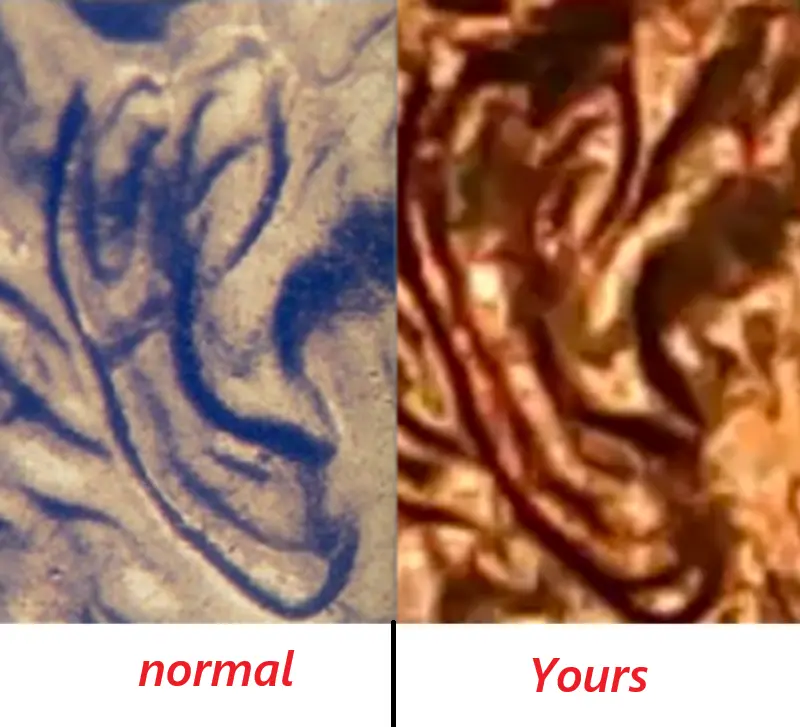 2002-Lincoln-Cent-Doubled-Ear?