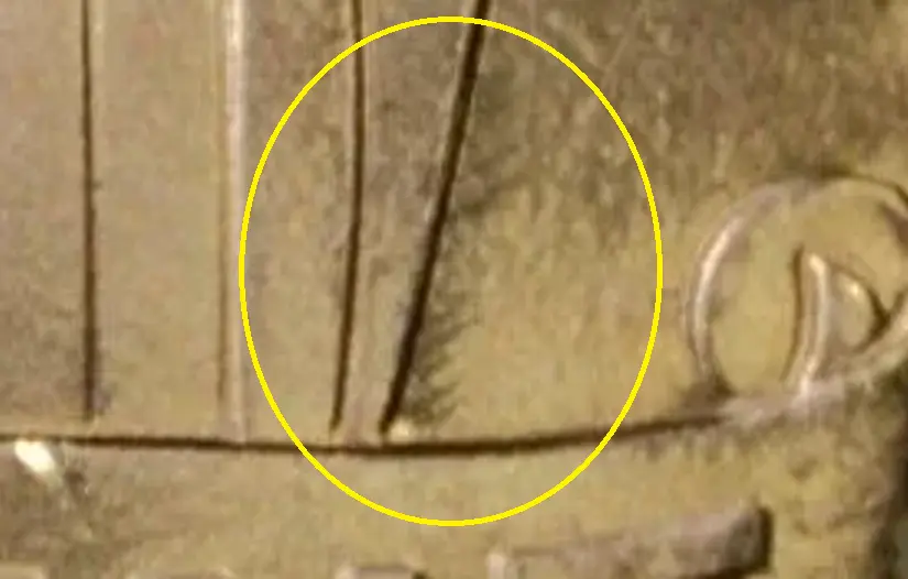 2019-LSC-With-Small-Indent-To-The-Left-Of-The-Shield-Above-Banner