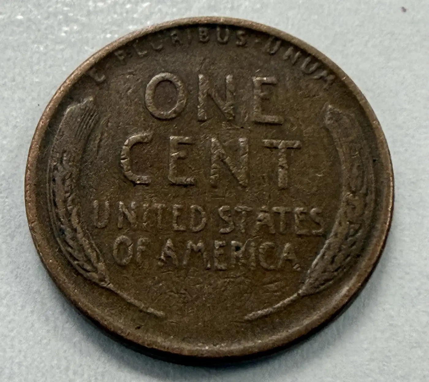 1956-D---My-First-Wheat-Penny,-What-Do-You-Guys-Think?