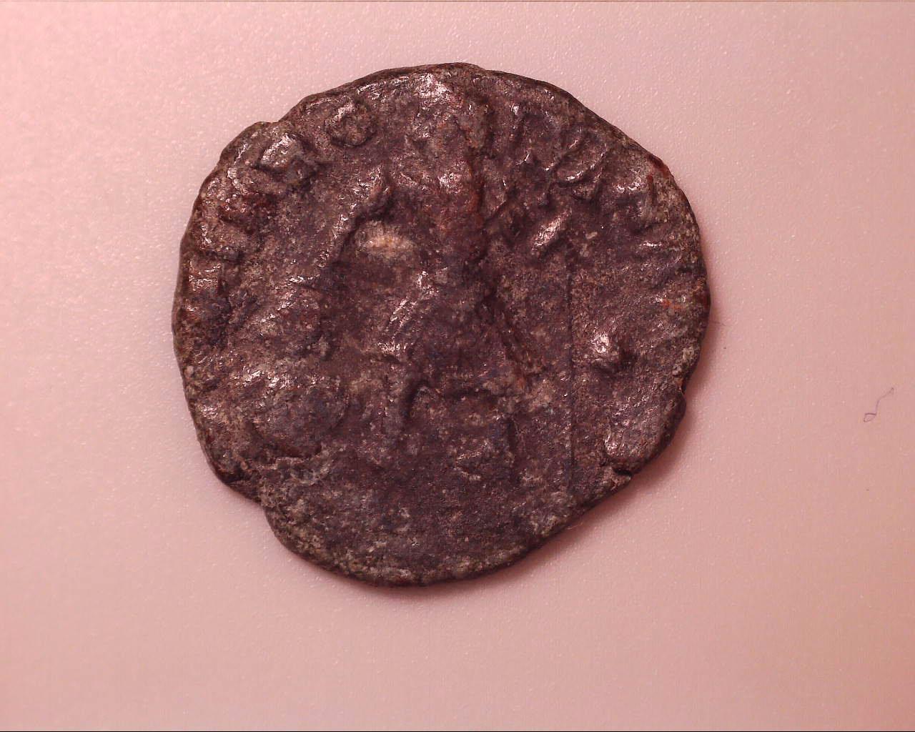 7-Roman-Coins-Found-Back-Home...please-Help