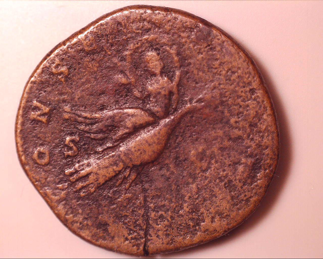 7-Roman-Coins-Found-Back-Home...please-Help