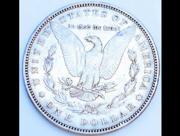 1893-P-Morgan-Dollar-Cleaning-Questions