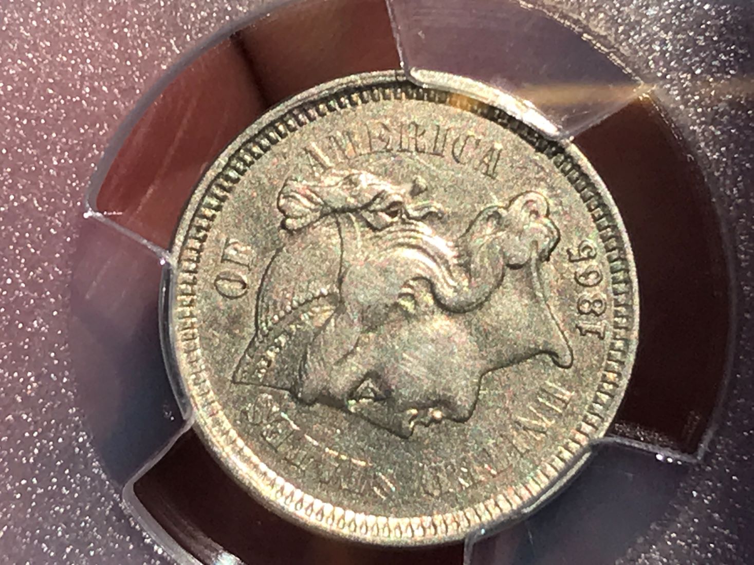 1865-3c-Detecting-Find,-Sent-To-PCGS