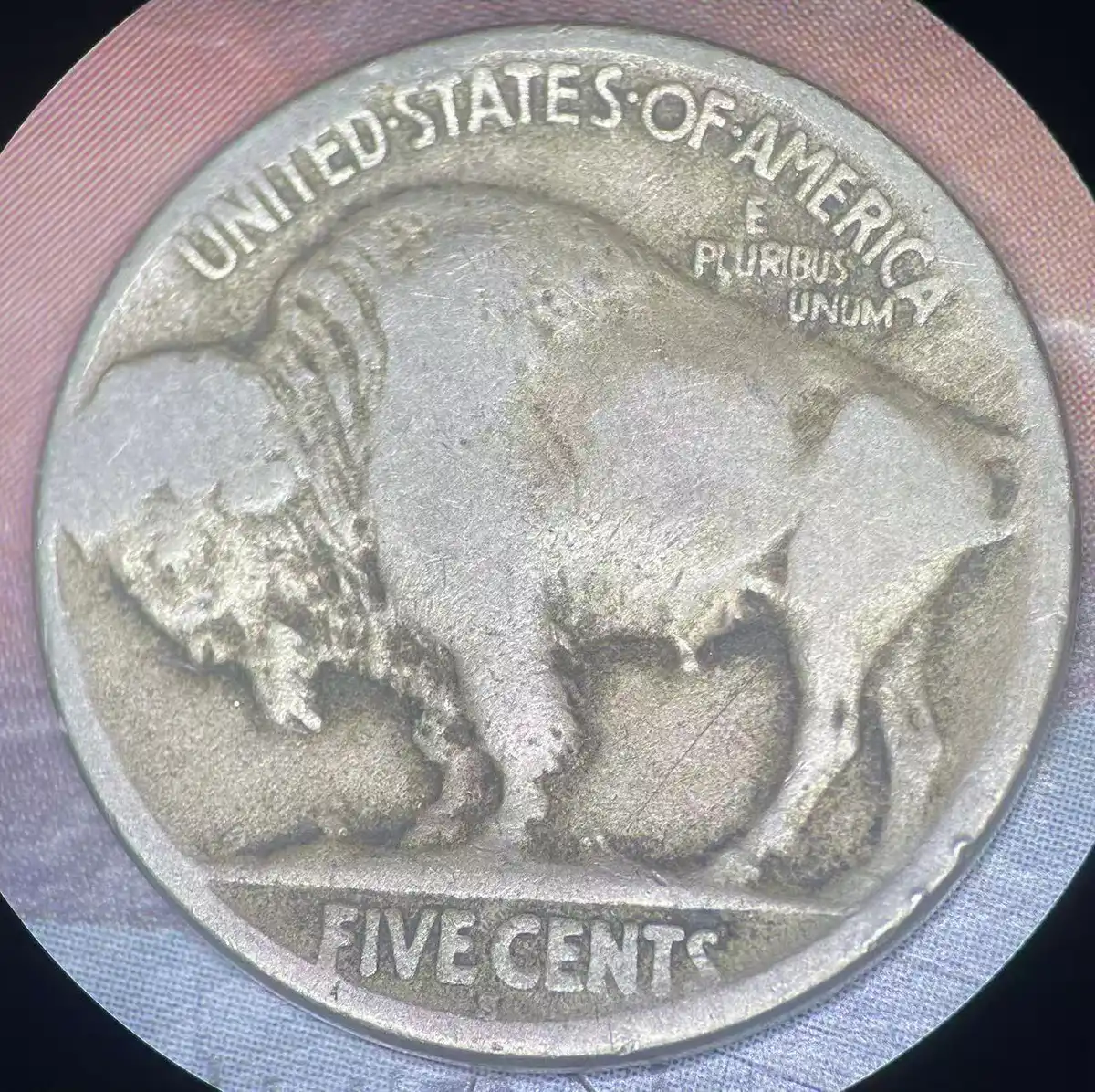 1913-S-Type-2--Buffalo-5-Cents-For-Grading