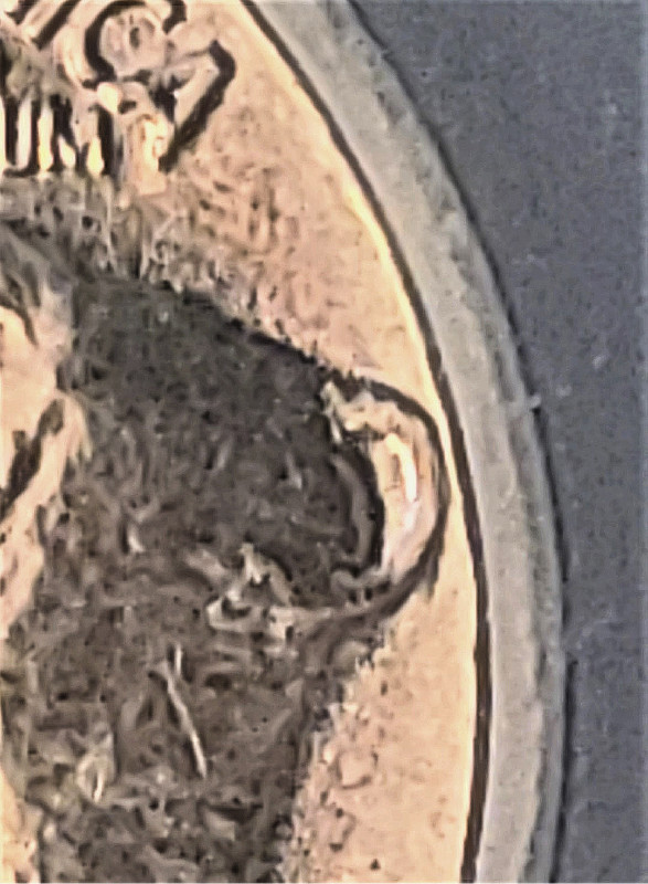 Is-This-1936-S-Icg-MS-66-Buffalo-Nickel-A-Full-Split-Tail-Coin?