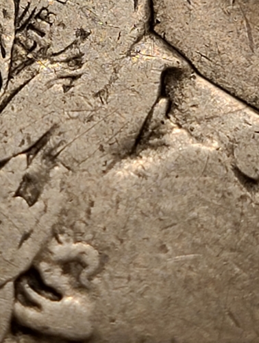 1915-P-Barber-Half-Dollar-For-Grading.
