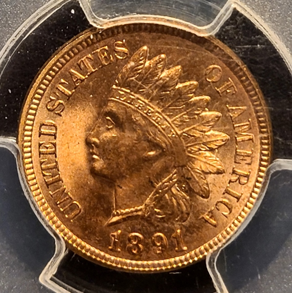1891-Indian-Cent---Questionable-Color-Y/N