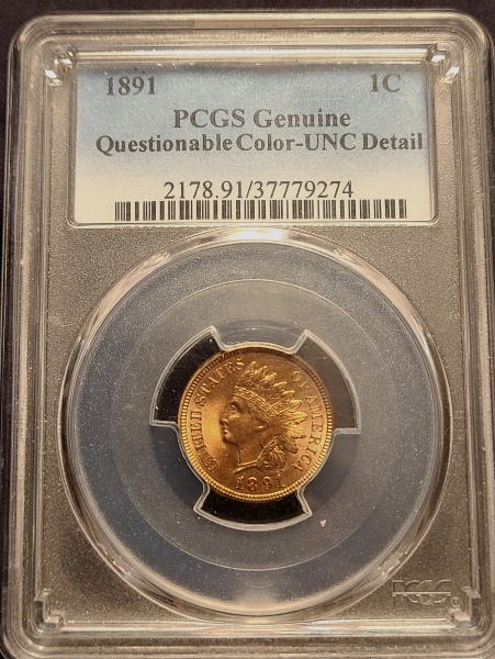 1891-Indian-Cent---Questionable-Color-Y/N