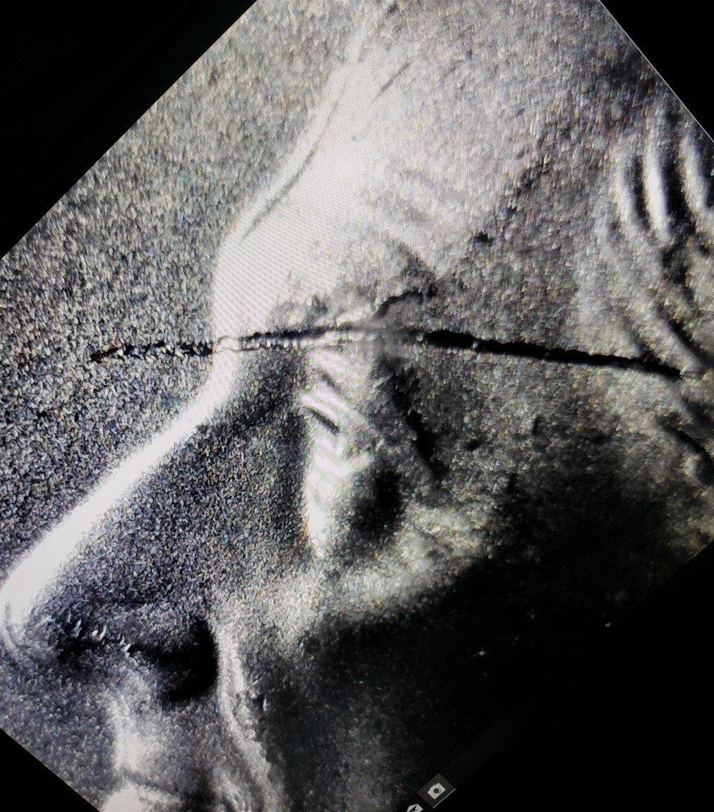 2010-P-Roosevelt-Dime-Strike-Through-Error