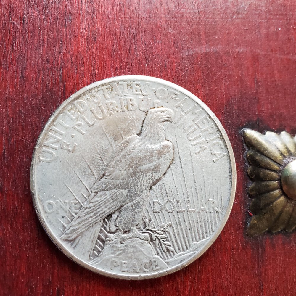 My-1921-Peace-Dollar.-Should-I-Dip?