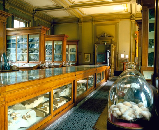 A-Compendium-Of-Numismatic-Displays-In-Museums-Around-The-World-Evergreen