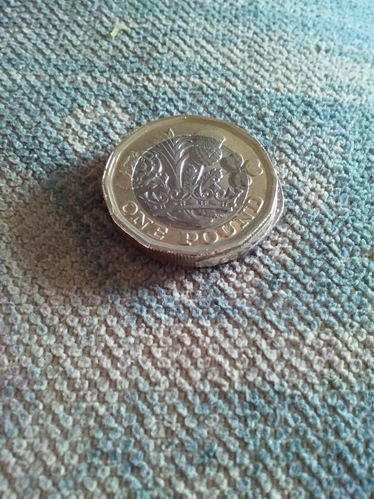 Advice-Please-On-This-UK-£1.00