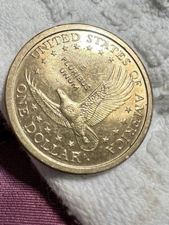2000-D-Sacagawea-Error?