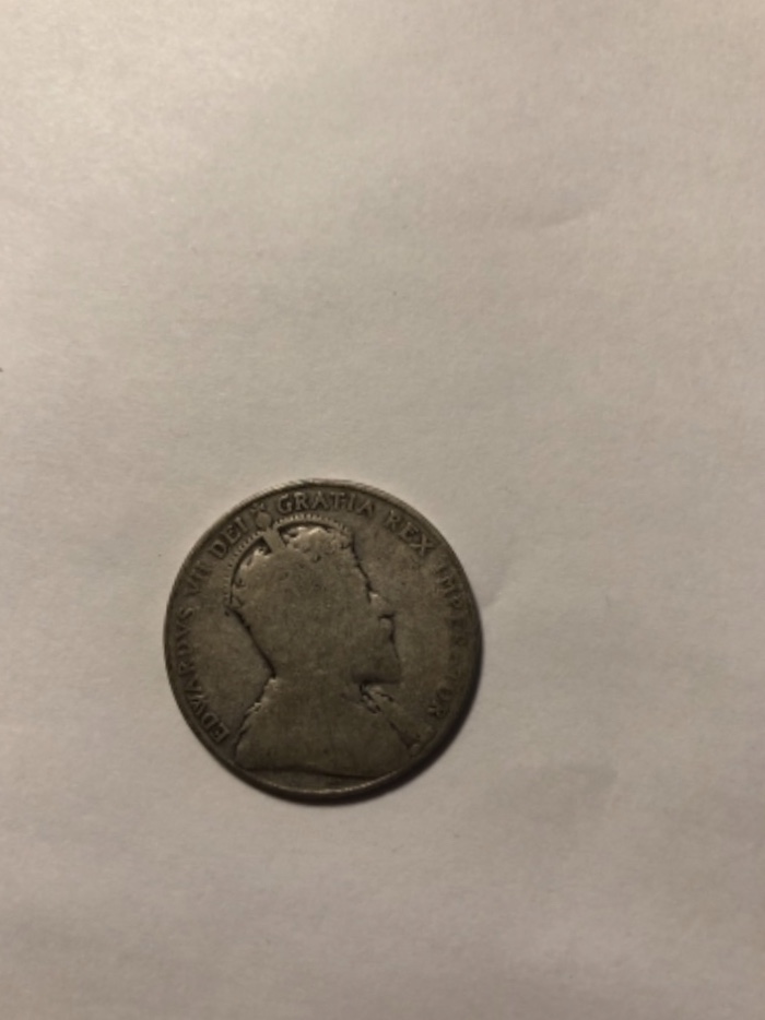 New-And-Not-Sure-What-This-Is.