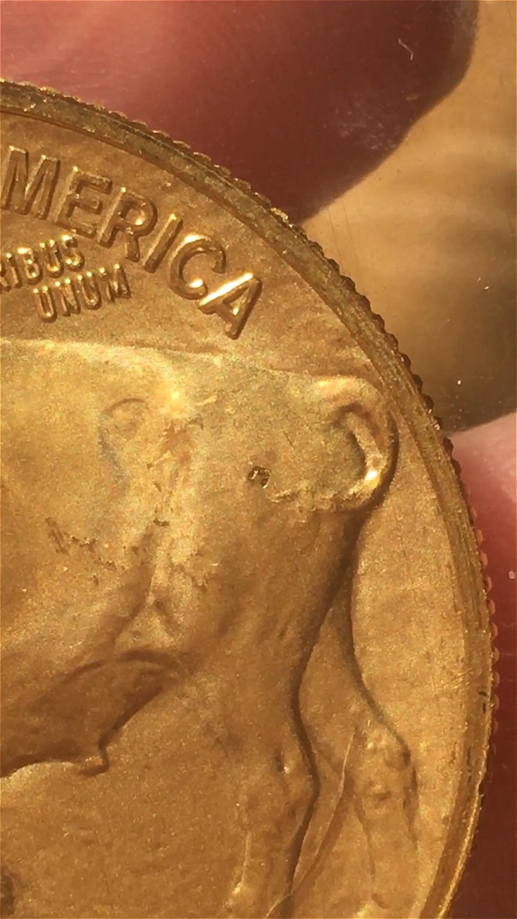 Can-Something-With-This-Flaw-Be-Considered-�-Proof-65-Or-Higher?-�-$50-Buffalo