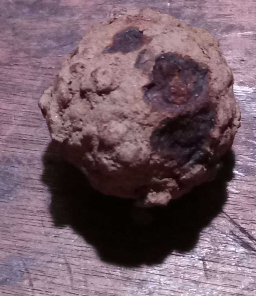 How-Often-Do-You-Metal-Detect?