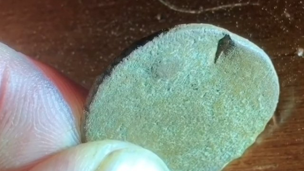 New-Jersey-State-Copper-Counter-Stamp?