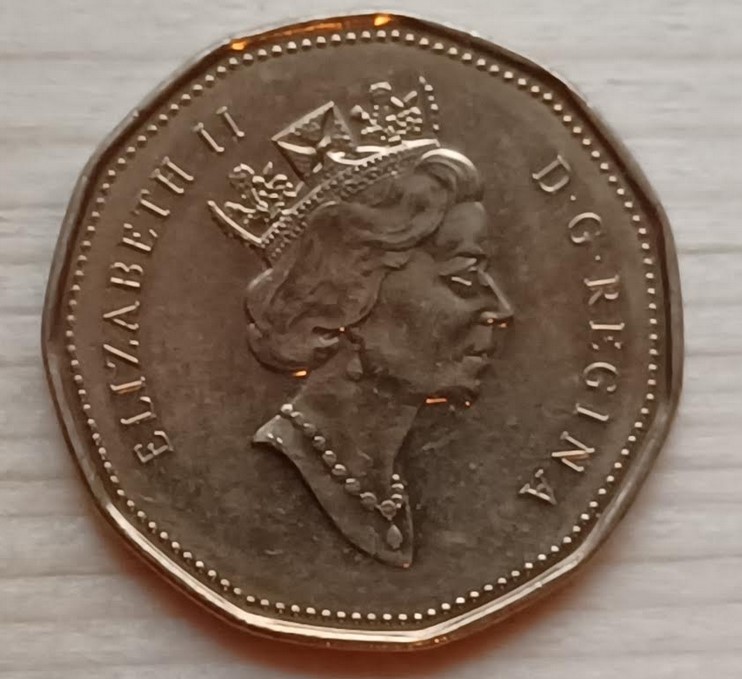 Possible-Struck-Through-Error-Loonie