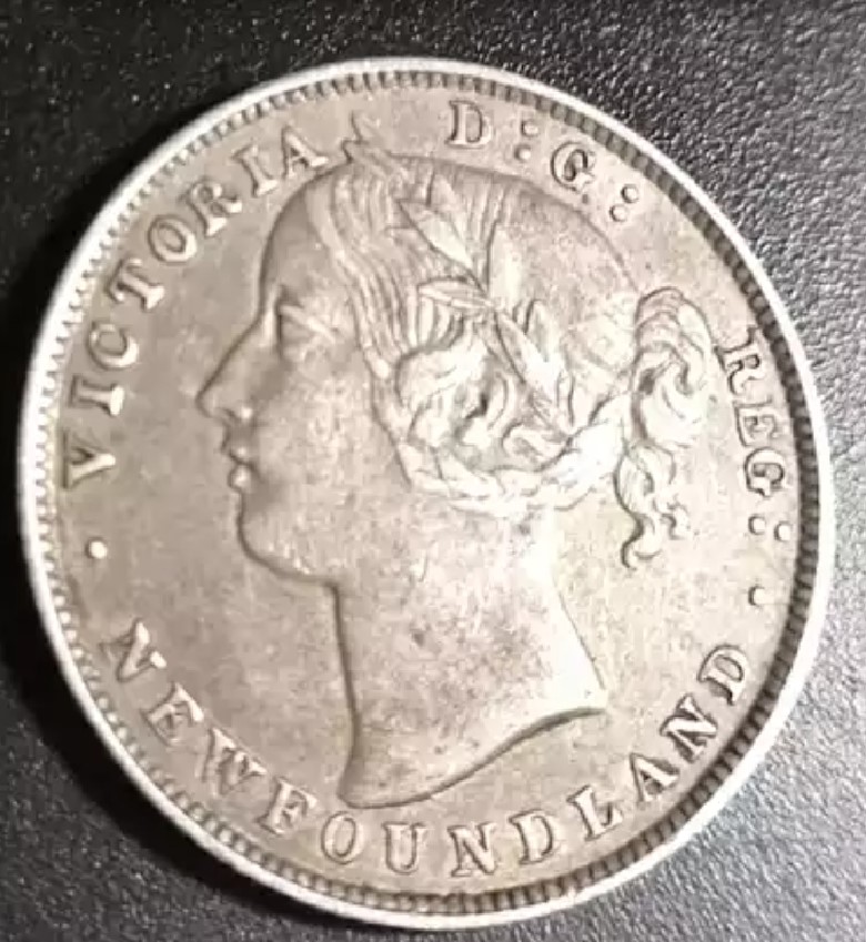 1881-Newfoundland-20-Cent.-Planchet-Flaw?