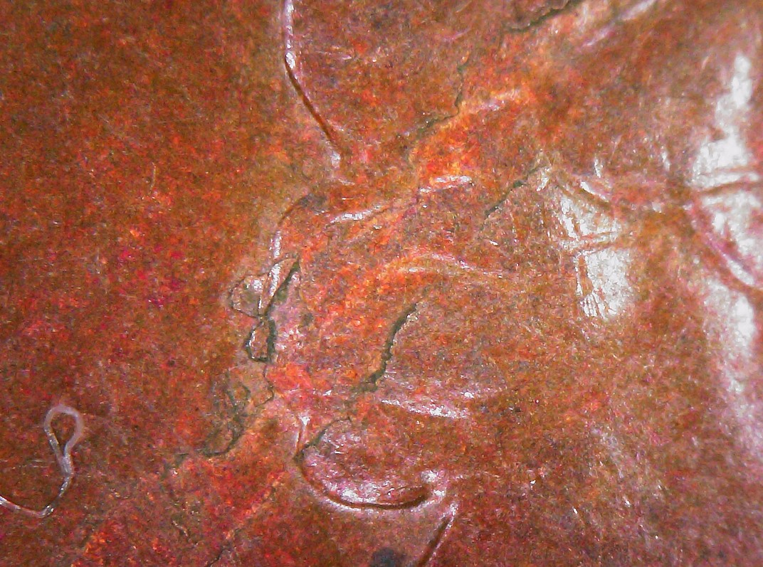 1976-Penny-Really-Odd-Error?